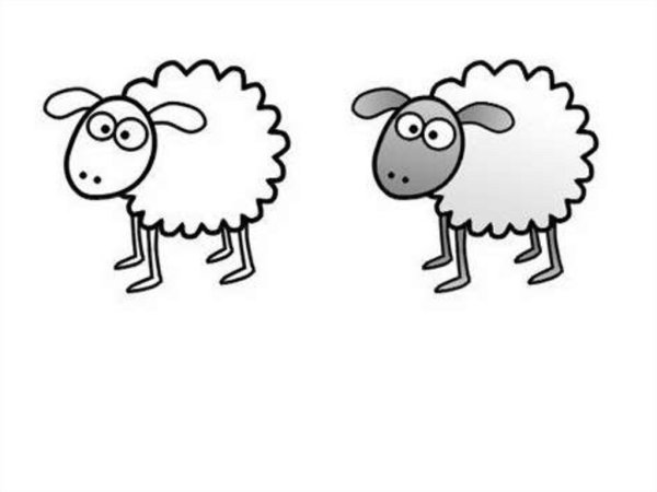 Овца рисунок