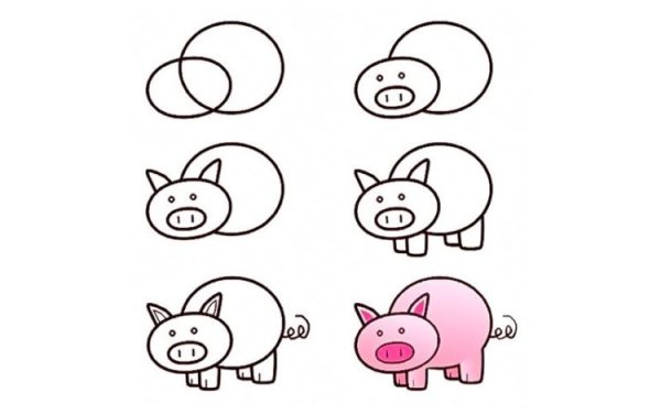 Свинья рисунок для детей карандашом