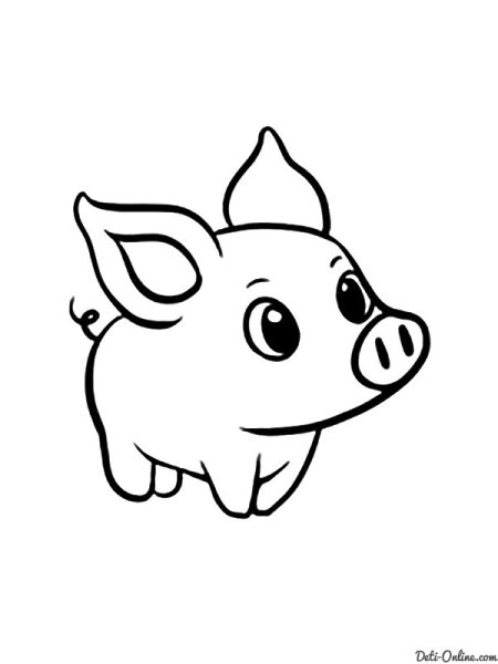 Свинья раскраска для детей
