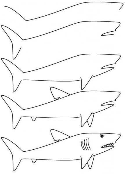Акула пошаговое рисование