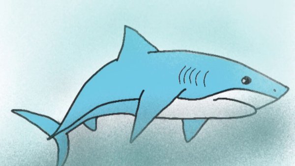Акула рисунок легкий