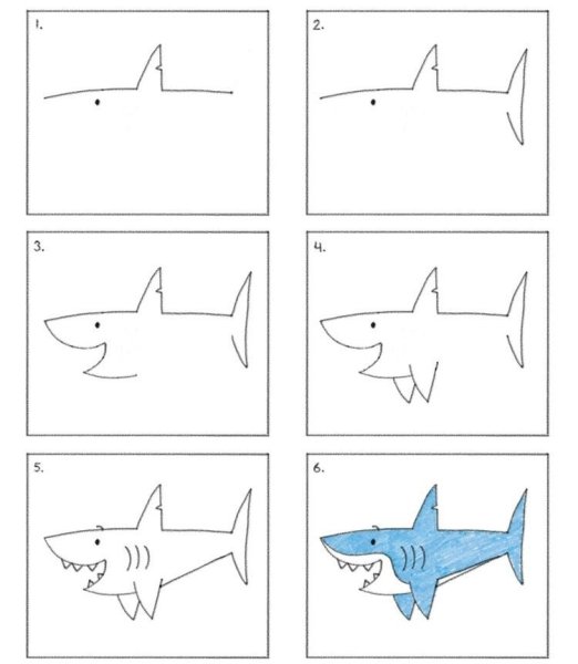 Поэтапное рисование акулы для детей