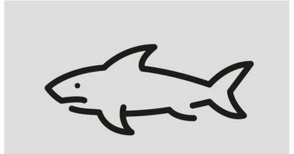 Белая акула рисунок