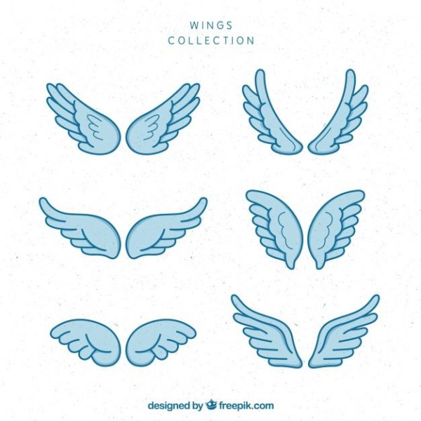 Крылья для срисовки