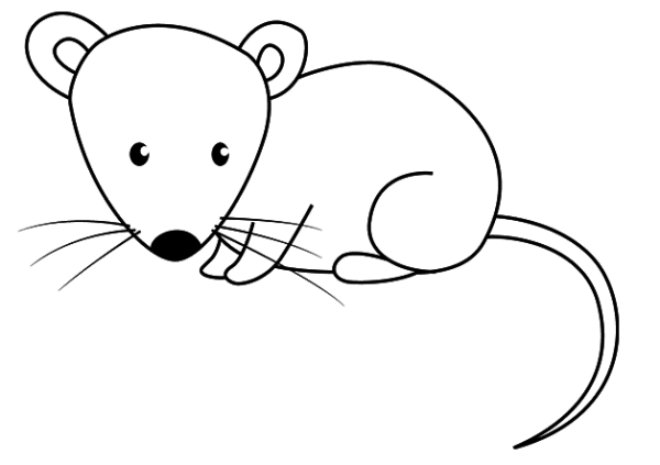 Мышка рисунок карандашом