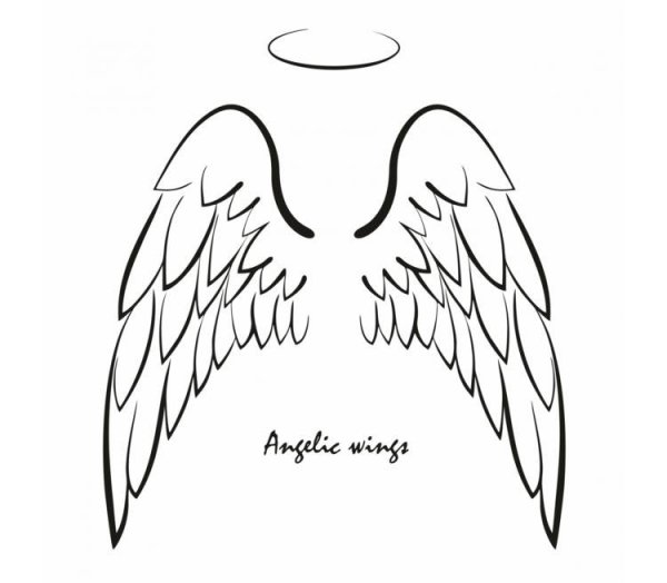 Крылья сбоку референс