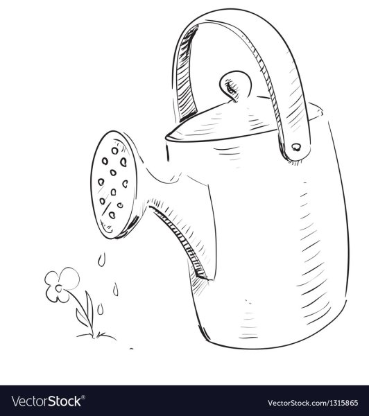 Лейка рисунок