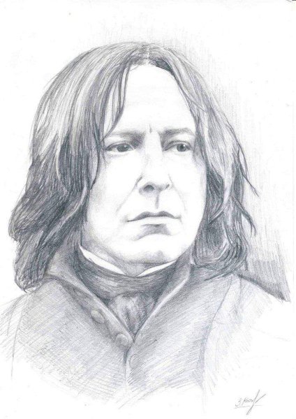 Северус Снейп портрет