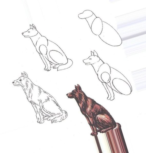 Кусака рисунок