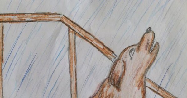 Собака кусака Андреев