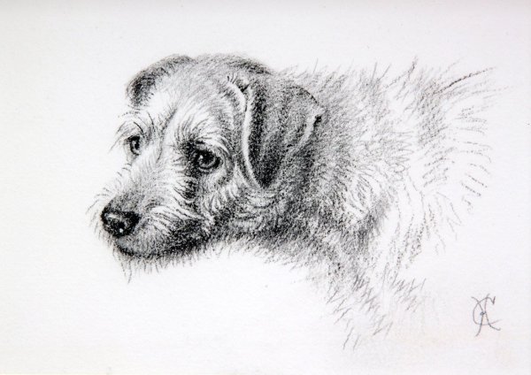 Иллюстрация к сказке кусака Андреев