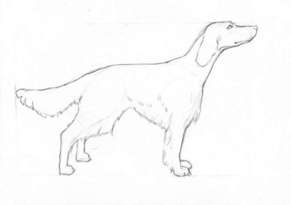 Иллюстрации к Кусаке Андреева