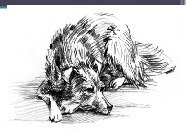 Кусака рисунок легкий