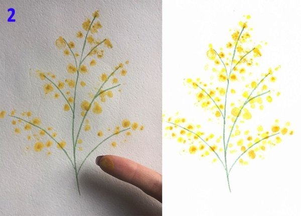 Веточка мимозы рисование пальчиками