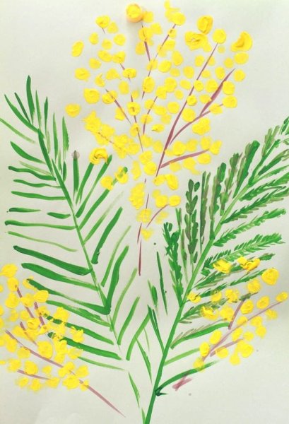 Мимоза цветок ватными палочками