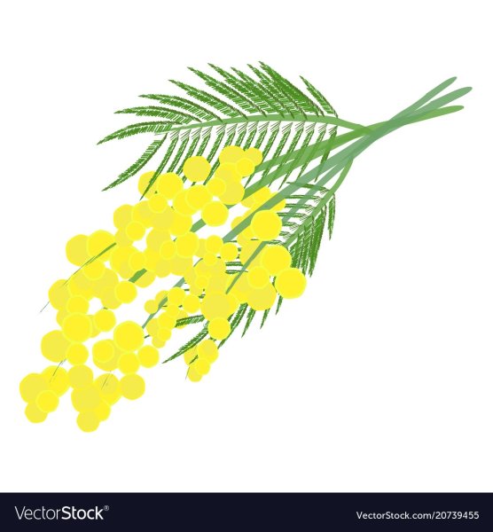 Веточка мимозы ватными палочками