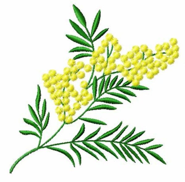 Мимоза Обрывная аппликация