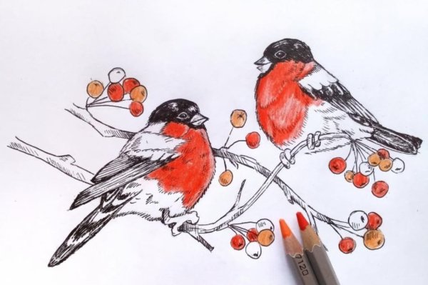 Урок изо Снегирь