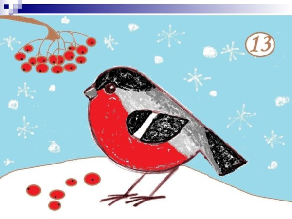 Этапы рисования снегиря