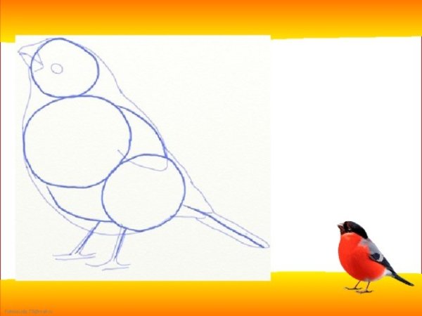 Рисование снегиря