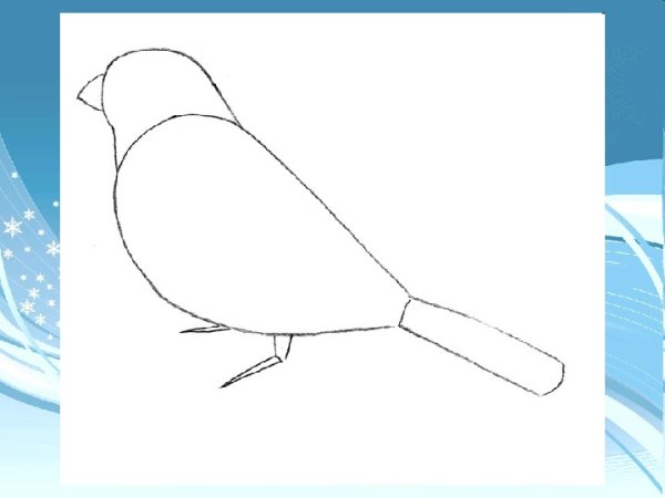 Поэтапное рисование синицы для детей