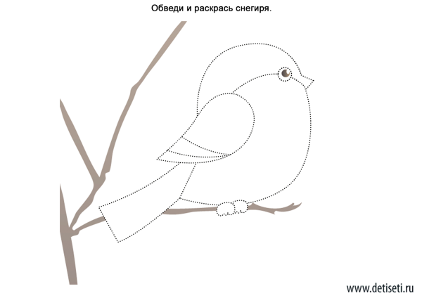 Снегирь рисунок пошагово