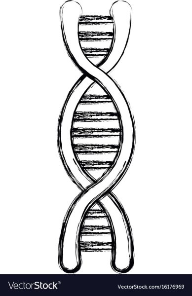 ДНК иллюстрация