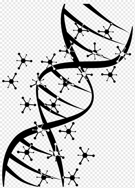 ДНК трафарет