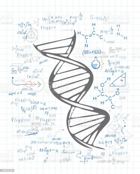 Генетика рисунок карандашом