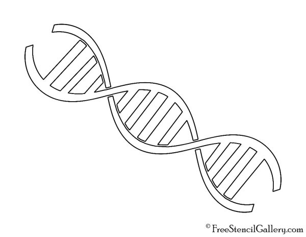 Цепь ДНК рисунок