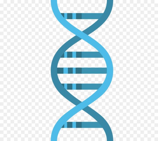 Векторное изображение ДНК