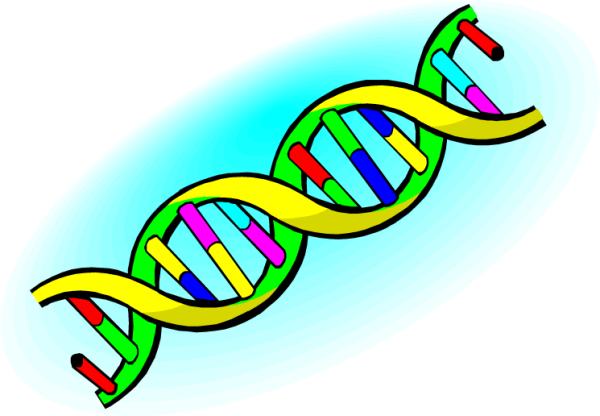 ДНК эмблема