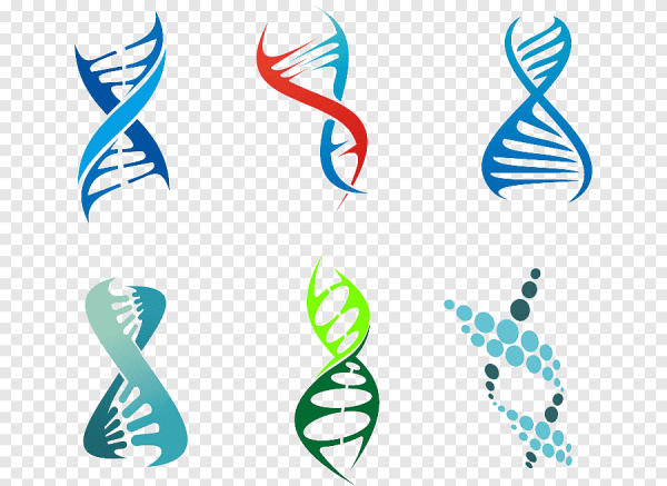 Стилизованная спираль ДНК