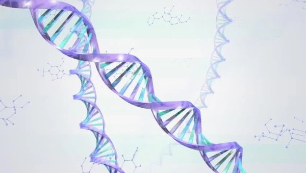 Биологические предметы