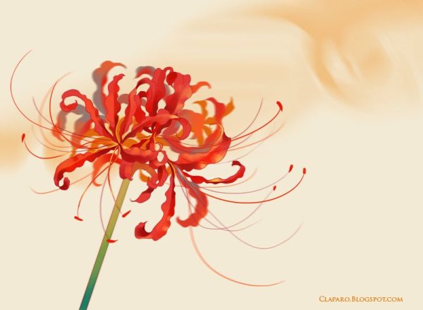 Хиганбана ликорис акварель