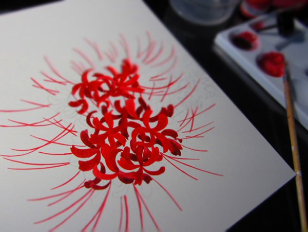 Суйбокуга ликорис