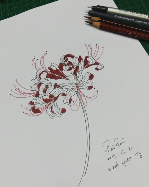 Ликорис тату