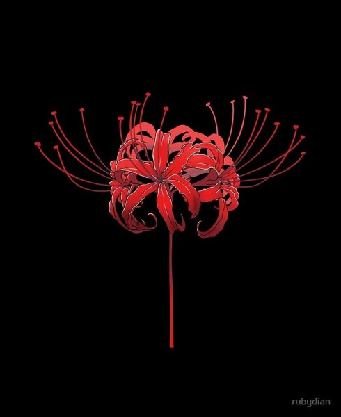 Ликорис Лучистый Токийский гуль