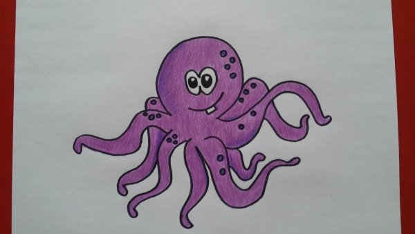 Осьминог эскиз простой