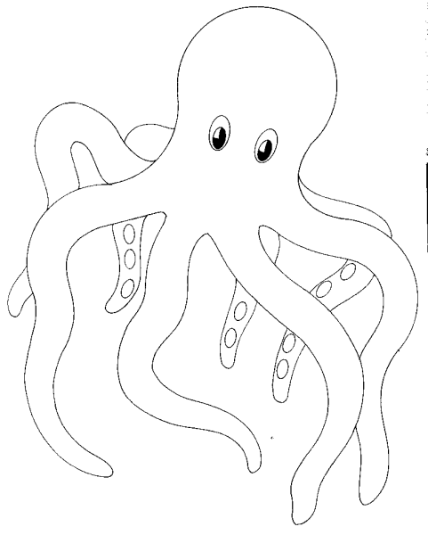 Осьминог черно белый