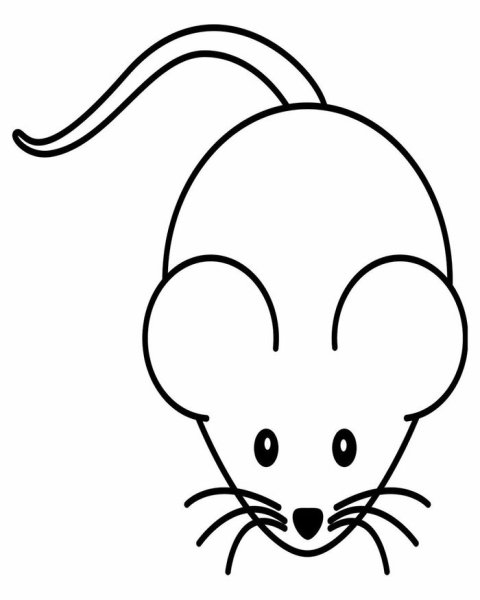 Мышь раскраска для детей