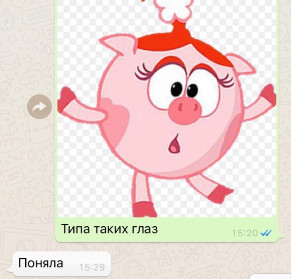 Нюша из смешариков в платье