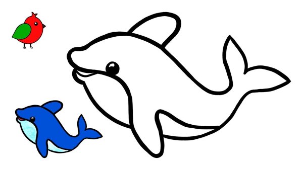 Дельфин поэтапное рисование