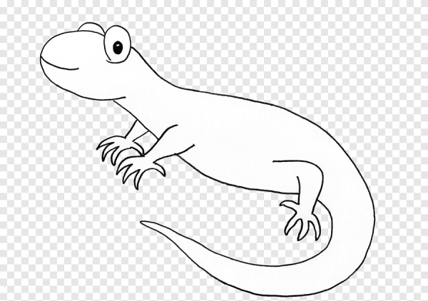 Рептилии рисунок