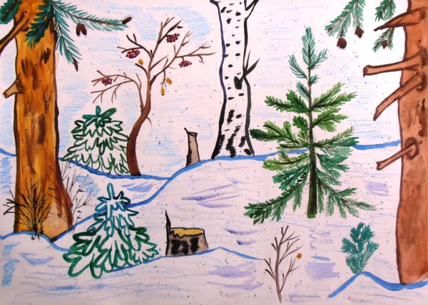 Смешанные леса