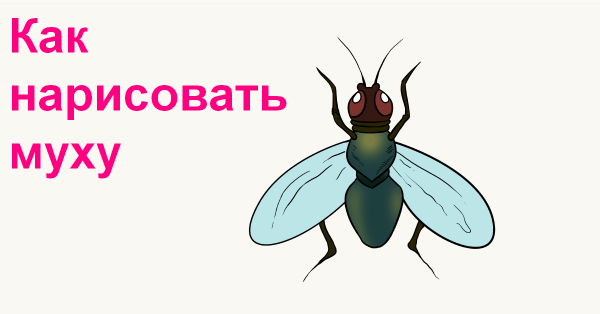 Муха мультфильм