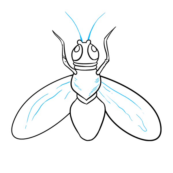Раскраска Муха-Цокотуха