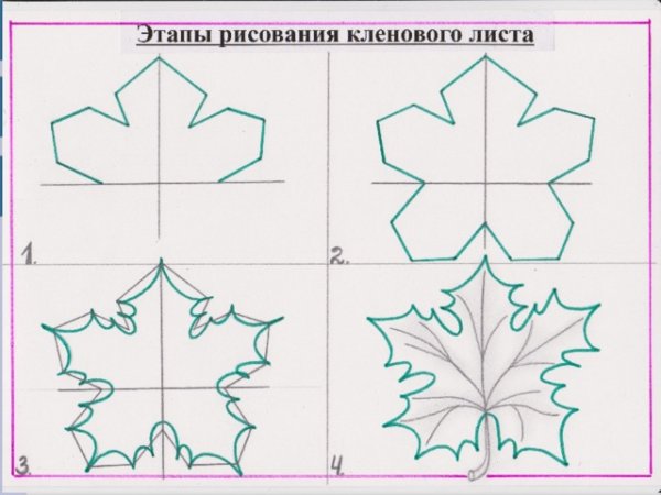 Рисование кленового листа