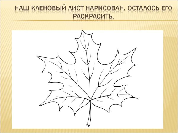 Кленовый лист схема рисования