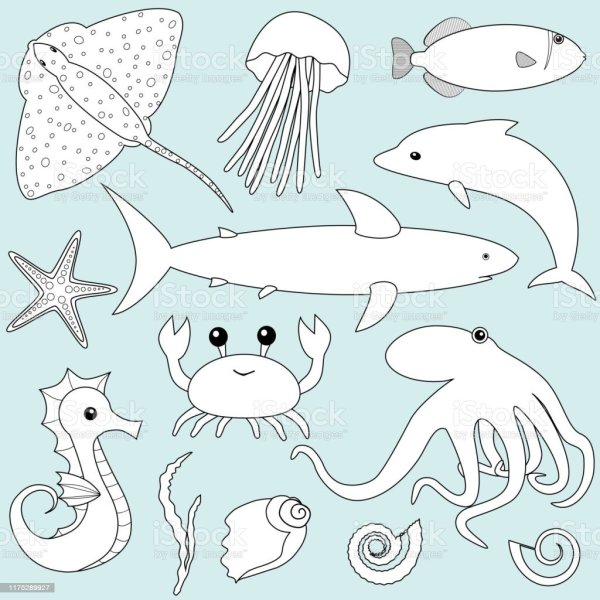 Морские рисунки легкие